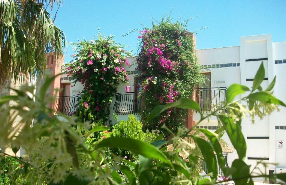 Kriss Otel Ortakentyahşi Exterior foto